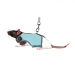 Trixie Soft Harness With Leash rakmed ja rihm rottidele, reguleeritavad, 12&ndash;18 cm, 1.20 m