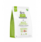 Brit Care Sustainable Adult Medium Breed Chicken&Insect kuivtoit t&auml;iskasvanud keskmiste t&otilde;ugu koertele kanaliha ja putukatega, 3 kg