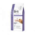 Brit GF Veterinary Diets Dog Gastrointestinal - Low Fat kuivtoit koertele seedeprobleemidega, 12 kg