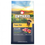Ontario Puppy Mini Lamb & Brown Rice kuivtoit v&auml;ikeste t&otilde;ugude kutsikatele ja juunioridele, 6,5 kg
