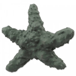Dog Fantasy Sea Natural Toy Starfish Rubber m&auml;nguasi koertele hammaste tervise jaoks, roheline, 15 cm
