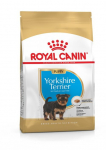 Royal Canin BHN Yorkshire Terrier Puppy kuiv kutsikatoit, 500 g