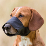 Trixie Nylon Muzzle koera koonukate, l&uuml;hiajaliseks kasutamiseks, L-XL suurus, koonu &uuml;mberm&otilde;&otilde;t 35 cm, koonu pikkus 9 cm
