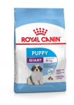Royal Canin SHN Giant Puppy kuivtoit hiigelt&otilde;ugude kutsikatele, 15 kg