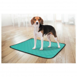 Flamingo Training Pad Green S Antislip treeningmati kutsikatele, 54x38 cm