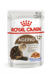 Royal Canin FHN Ageing +12 In Jelly konservid kassidele želees, 85 g