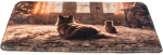 Trixie Xmas Lying Mat magamisase koertele ja kassidele, 50 &times; 40 cm