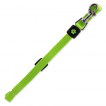 Active Dog Leash Premium S Lime nailonrihm v&auml;ikestele koertele, laimiroheline, 1,5x120 cm