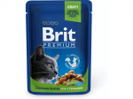 Brit Premium Cat Pouch Kana t&uuml;kid Sterilised konservid steriliseeritud kassidele kanaga, 100 g