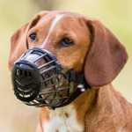 Trixie Muzzle Plastic traksid koertele, suurus L, koonu &uuml;mberm&otilde;&otilde;t 32 cm, pikkus 8 cm, must