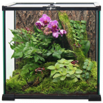 Repti Planet klaasterrarium 20x20x20cm &ndash; terrarium