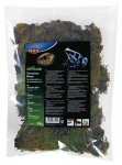 Trixie Terrarium Moss sammal teraraariumile, 100% naturaalne, 200 g