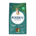 Forza10 Maintenance Medium Adult kuivtoit t&auml;iskasvanud keskmistele koertele p&otilde;draga ja kartuliga, 2 kg