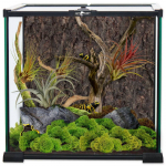 Repti Planet klaasterrarium, 30x30x30 cm