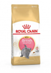 Royal Canin FBN Kitten British Shorthair kuivtoit kassipoegadele, 400 g