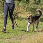 Trixie Waist Belt With Leash - v&ouml;&ouml;kott jooksjale koos rihma, neopreenpolstriga, v&ouml;&ouml; 70&ndash;120 cm, rihm 1.10&ndash;1.50 m