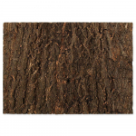 Repti Planet korktaust terariumile, naturaalne, 58.5x41x2 cm