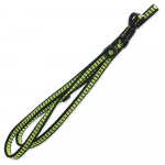 Active Dog Leash Strong XS nailonrihm miniatuursetele koertele helkurniidiga, laimiroheline, 1x120 cm