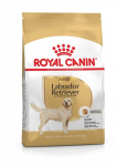 Royal Canin Labrador Retriever Adult kuivtoit t&auml;iskasvanud labradori retriiveritele, 12 kg