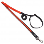 Dog Fantasy nailonist jalutusrihm USB LED-valgustusega jooksmiseks, oranž, 2,5x180-250 cm