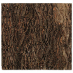Repti Planet naturaalne korktaust terariumile, 58,5x56x2 cm