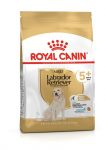 Royal Canin BHN Labrador Retriever Adult 5+ kuivtoit t&auml;iskasvanud labradori retriiveritele, 12 kg