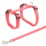 Trixie Harness With Lead rakmed ja rihm kassidele, reguleeritav, nailon, 27-45 cm/10 mm, rihm 1.20 m