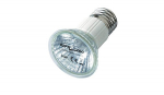 Repti Planet K&uuml;ttepirn terraariumile : Bulb Halogen Spot 35W
