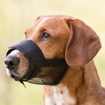 Trixie Nylon Muzzle koera koonukate l&uuml;hiajaliseks kasutamiseks, L-XL suurus, koonu pikkus 6.4 cm, koonu &uuml;mberm&otilde;&otilde;t 24-34 cm, must