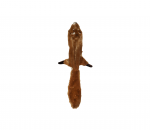 Spot Skinneeez Squirrel pl&uuml;&uuml;sist m&auml;nguasi koertele, ilma t&auml;idiseta, 58 cm