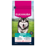 Eukanuba Adult Large Salmon kuivtoit suurtele t&auml;iskasvanud koertele, 12 kg
