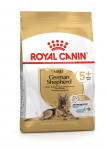 Royal Canin BHN German Shepherd Adult 5+ kuivtoit t&auml;iskasvanud saksa lambakoertele, 12 kg