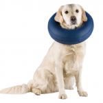 Trixie Protective Collar, Inflatable t&auml;ispuhutav kaitsekrae koertele ja kassidele, XS: 20&ndash;24 cm/8 cm