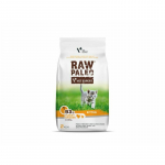 RAW Paleo Kitten Turkey Chicken kuivtoit kassipoegadele, kalkuni ja kanaga, 2 kg