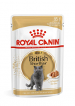 Royal Canin British Shorthair Wet t&auml;isv&auml;&auml;rtuslik m&auml;rgtoit t&auml;iskasvanud briti l&uuml;hikarvalistele kassidele kastmes, 85 g