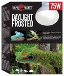 Repti Planet Pirn akvaariumi lambile: Bulb Daylight Frosted 75W