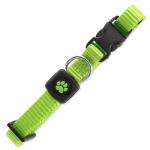 Active Dog Collar Premium XS neilonist kaelarihm v&auml;ikestele koerat&otilde;ugudele, laimiroheline, 1x21-30 cm