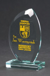 Victoria Sport Trofeum szklane grawerowane z etui +wypełnianie farbą | G010/GR/F | 2010000255537