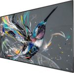 Monitor Philips Q-Line 86BDL3511Q/00 | S55156656 | 8712581778620