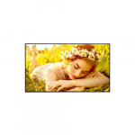 LG UHD Signage | 75UL5Q-M | 75 " | Landscape/Portrait | 24/7 | webOS | Wi-Fi | 8 ms | 178 &deg; | 178 &deg; | 500 cd/m&sup2; | 75UL5Q-M.AEUQ | 8806096790397