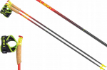 Leki Kije trekkingowe TRL Vertical K | 65325921130 | 4028173295173