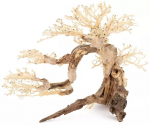 Terra Natura Tonące drzewo Bonsai nr 63 75x45 | TN-42087 | 5904479420879