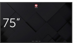 Information monitor DS 75 inch | 1TV315 | 5907731319027