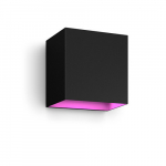 Philips Hue WCA Resonate Outdoor Downward Wall Lantern, Black | 8 W | 2000-6500 Hue White Colour Ambiance | 8719514466777 | 8719514466777