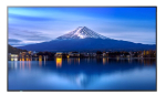 Monitor MultiSync P436 43 inches UHD 24/7 700cd/m2 | 60005911 | 4550556131094