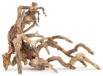 Tulup Tonce drzewo Bonsai nr 64 75x45 | TN-42091 | 5904479420916