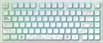 Dark Project ALU81A Terra Nova White, G3MS Moonstone Switch, US | DPKB_NOVA_81_ANSI_WHITE | 5292910036520