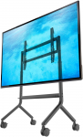 North Bayou P100 - Solidny mobilny stojak do tablic interaktywnych ekran&oacute;w multimedialnych i telewizor&oacute;w 65&quot,-90&quot, | P100G | 6943223117213