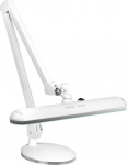 Lampka biurkowa Activeshop biała  (123744) | 123744 | 5906717413780