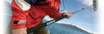 R&Oslash;DE BOOMPOLE microphone part/accessory | BOOMPOLE | 698813000630